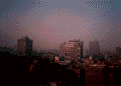 �J�C���s��